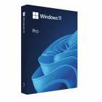 Microsoft Windows 11 Pro 64-Bit USB + Retail Physical Key License