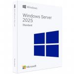 Microsoft Windows Server 2025 Standard 16 Core USB Installation